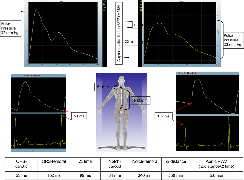 Figure 1: