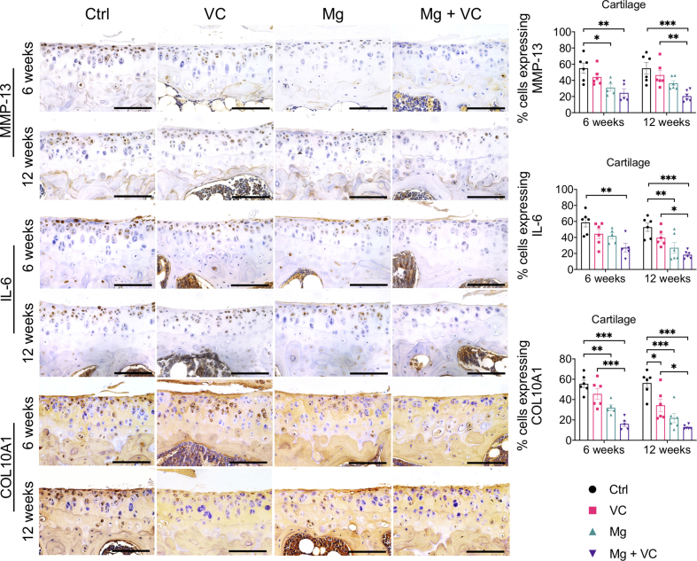 Supplementary Fig. 4