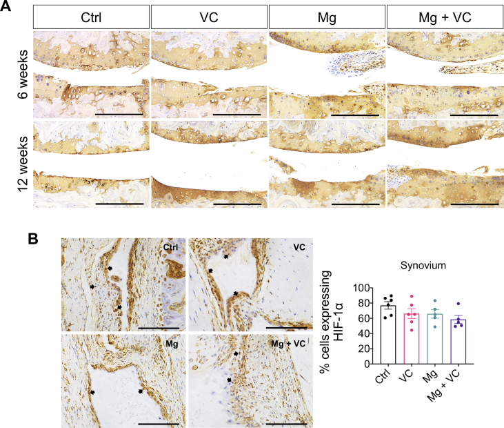 Supplementary Fig. 2