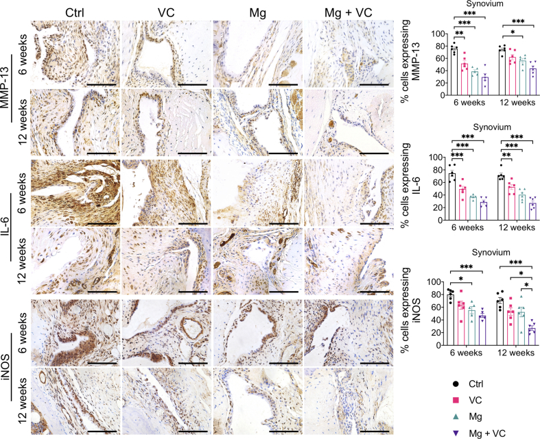 Supplementary Fig. 3