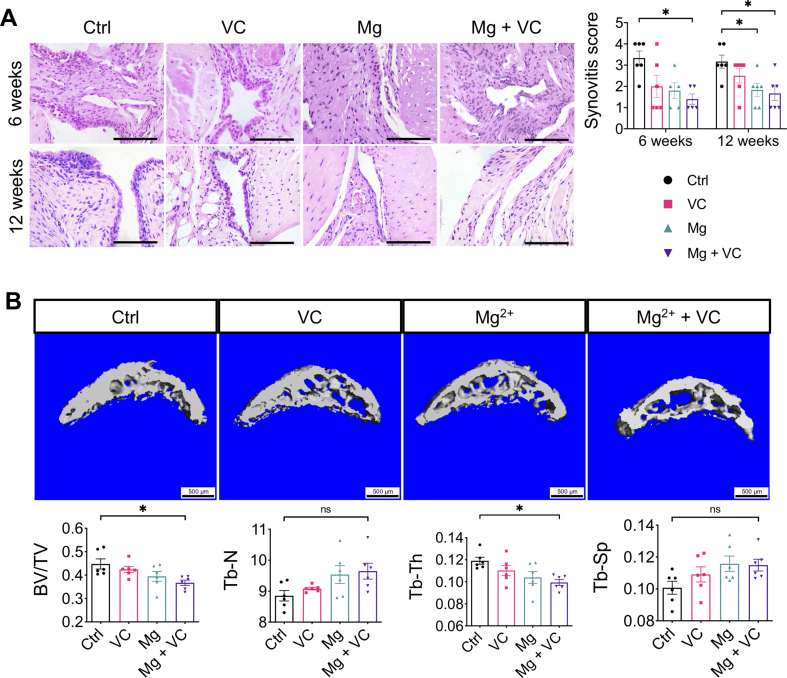 Supplementary Fig. 1