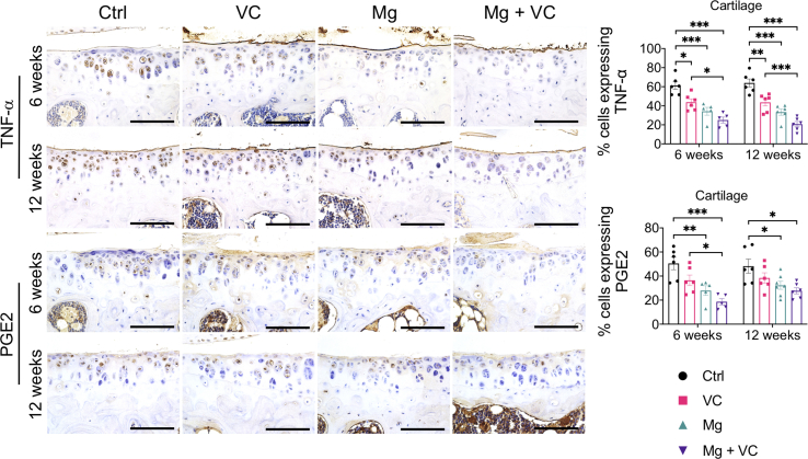 Supplementary Fig. 5