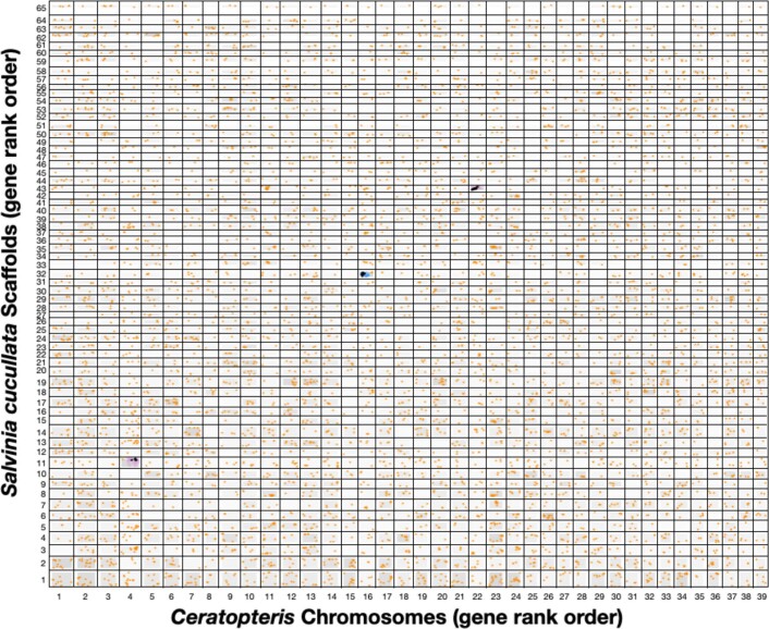 Extended Data Fig. 3