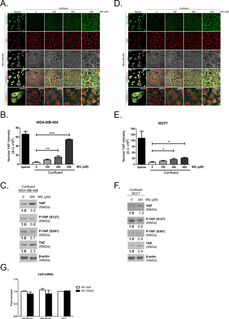 graphic file with name elife-96613-fig2.jpg