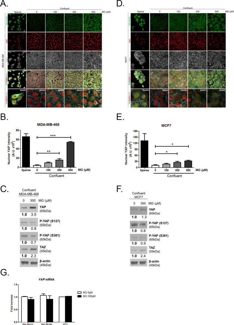 graphic file with name elife-96613-fig1.jpg