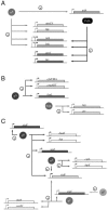 FIG. 2.