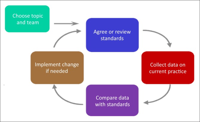 FIGURE 1