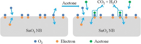 Fig. 9