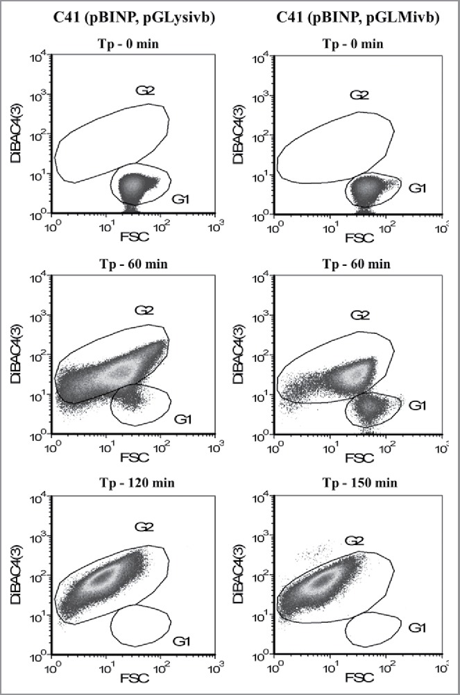 Figure 4.