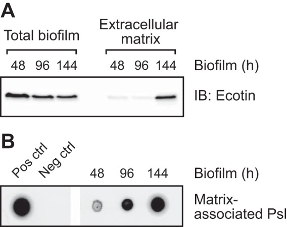 FIG 2 