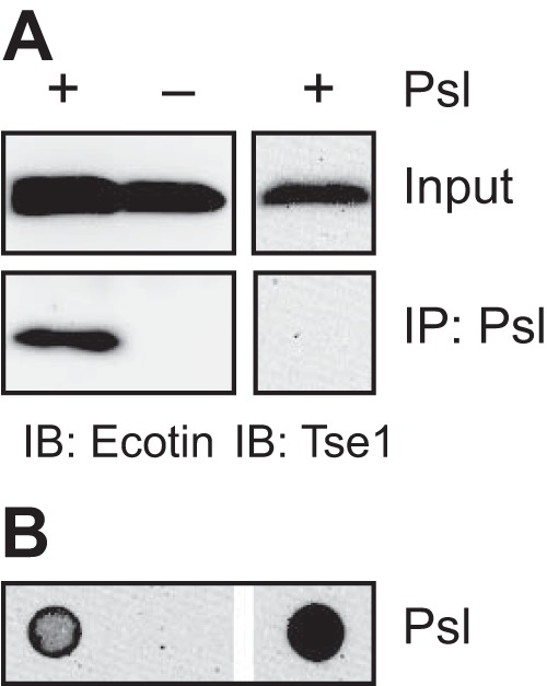 FIG 3 