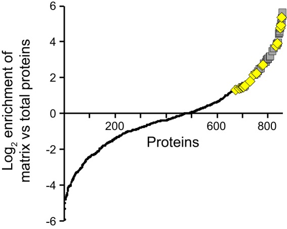 FIG 1 