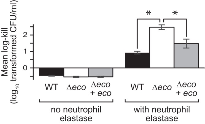 FIG 5 