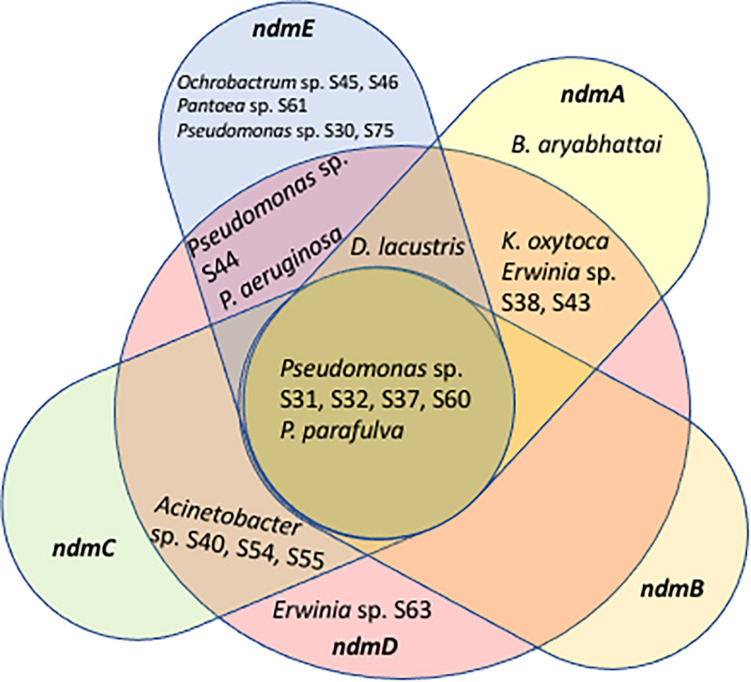 FIGURE 3