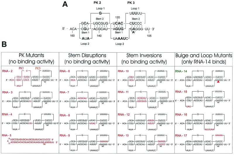 FIG. 7.