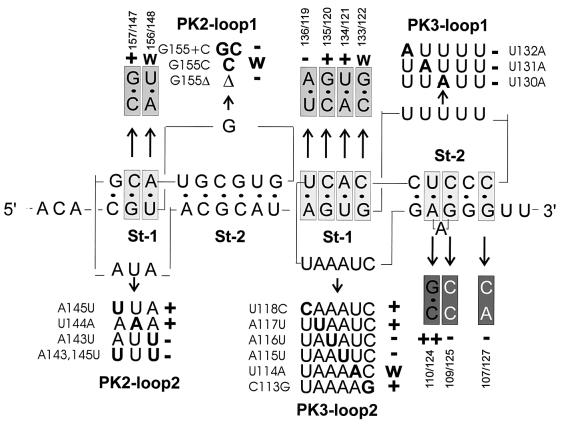 FIG. 8.