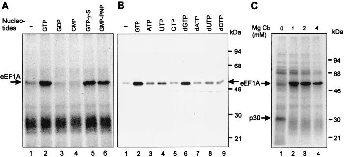 FIG. 5.