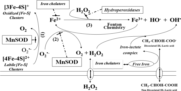 FIG. 5.