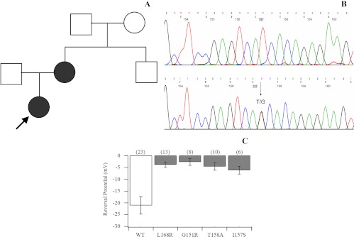 Fig. 1.