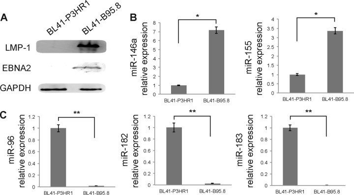 FIG 6