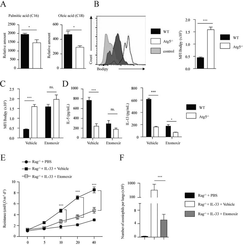 Figure 5: