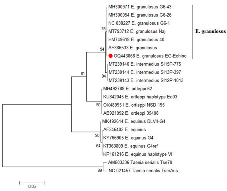 Figure 2