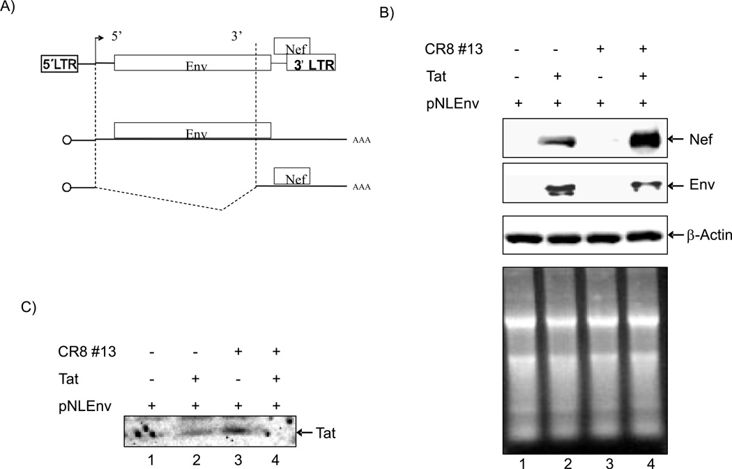 Figure 4