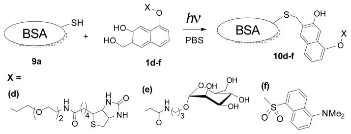 Scheme 5