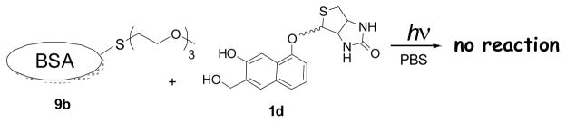 Scheme 6