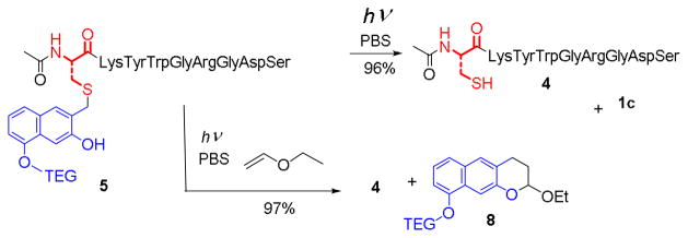 Scheme 4