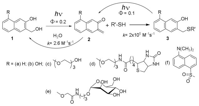 Scheme 1