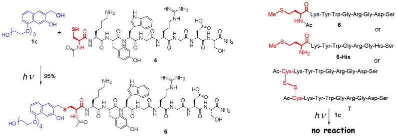 Scheme 2