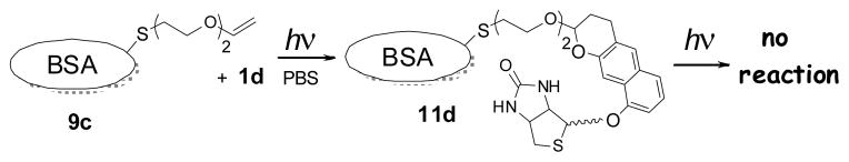 Scheme 8