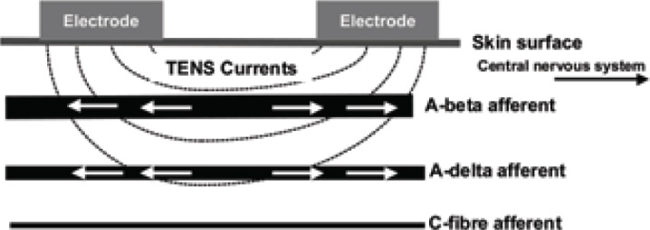 Figure 2c