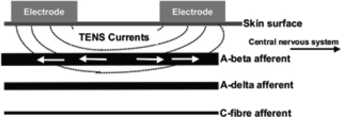 Figure 2a