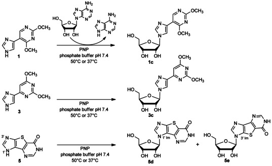 Scheme 4