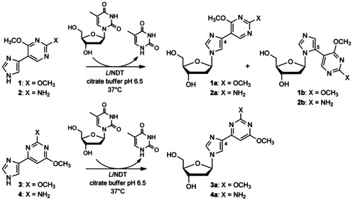 Scheme 2