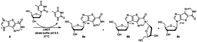 Scheme 3