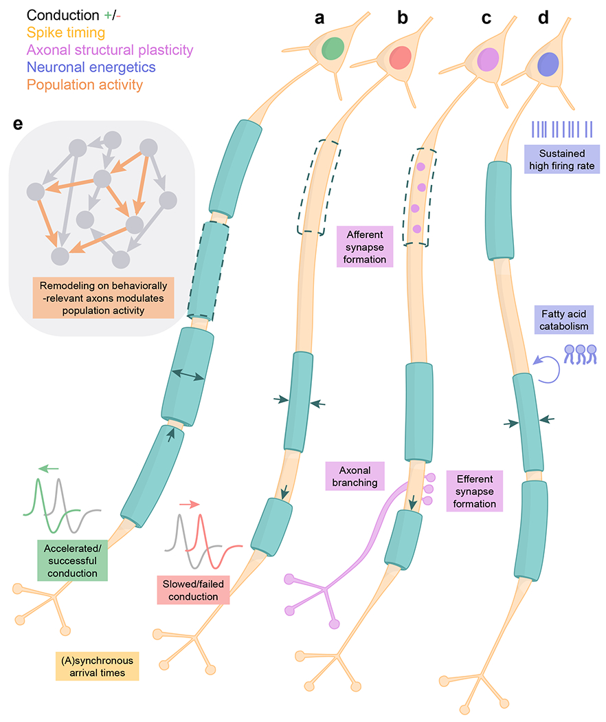 Fig. 3 |