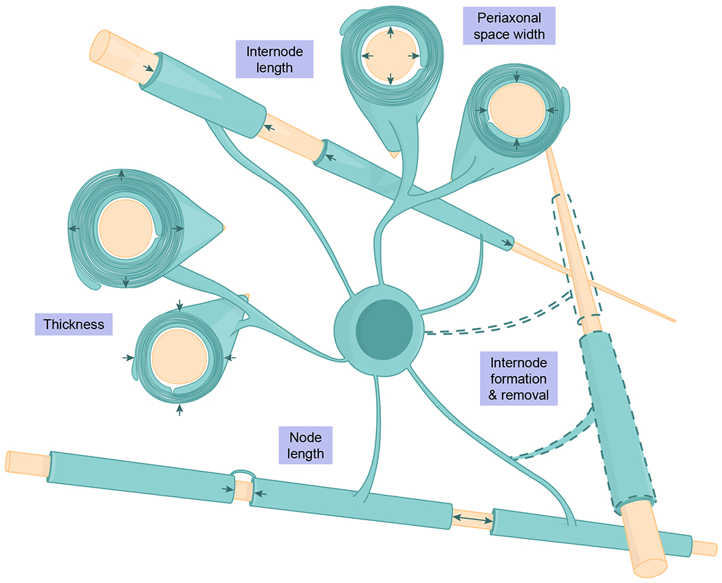 Fig. 2 |