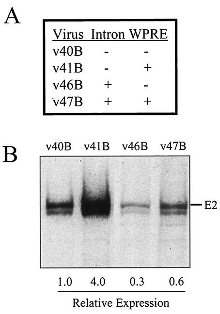 FIG. 8.