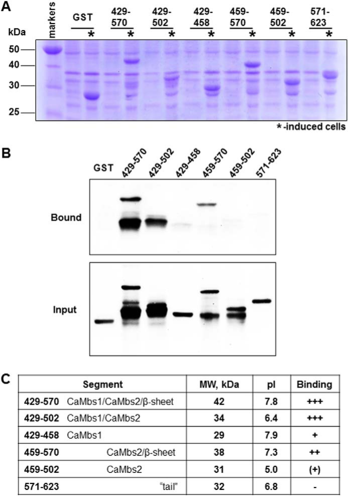 FIGURE 3.