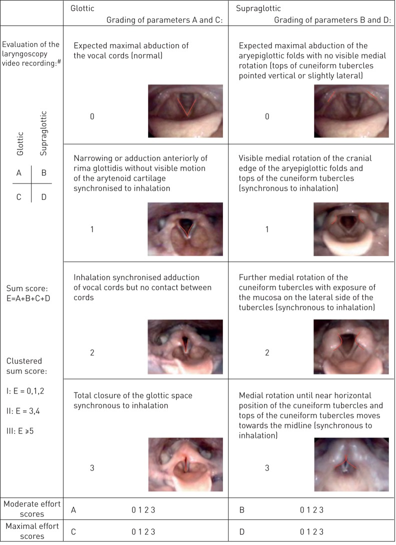 FIGURE 1