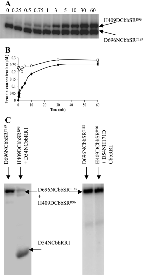 FIG. 9.