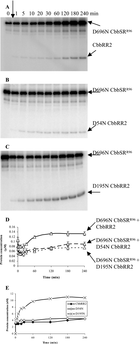 FIG. 8.