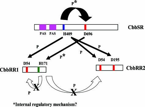 FIG. 10.