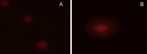 Figure 5