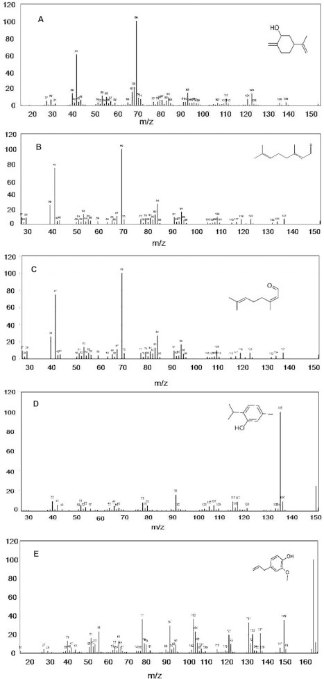 Figure 3