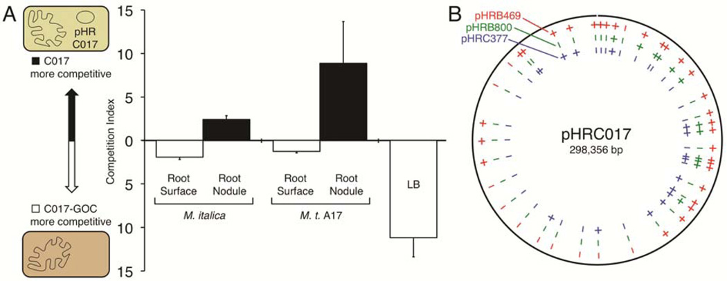 Fig. 5