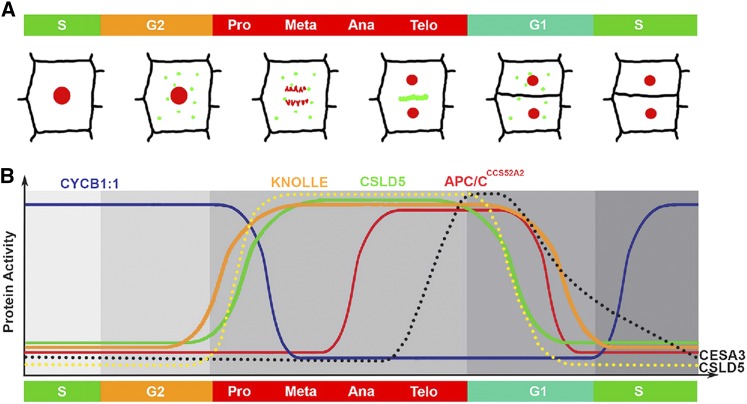 Figure 9.